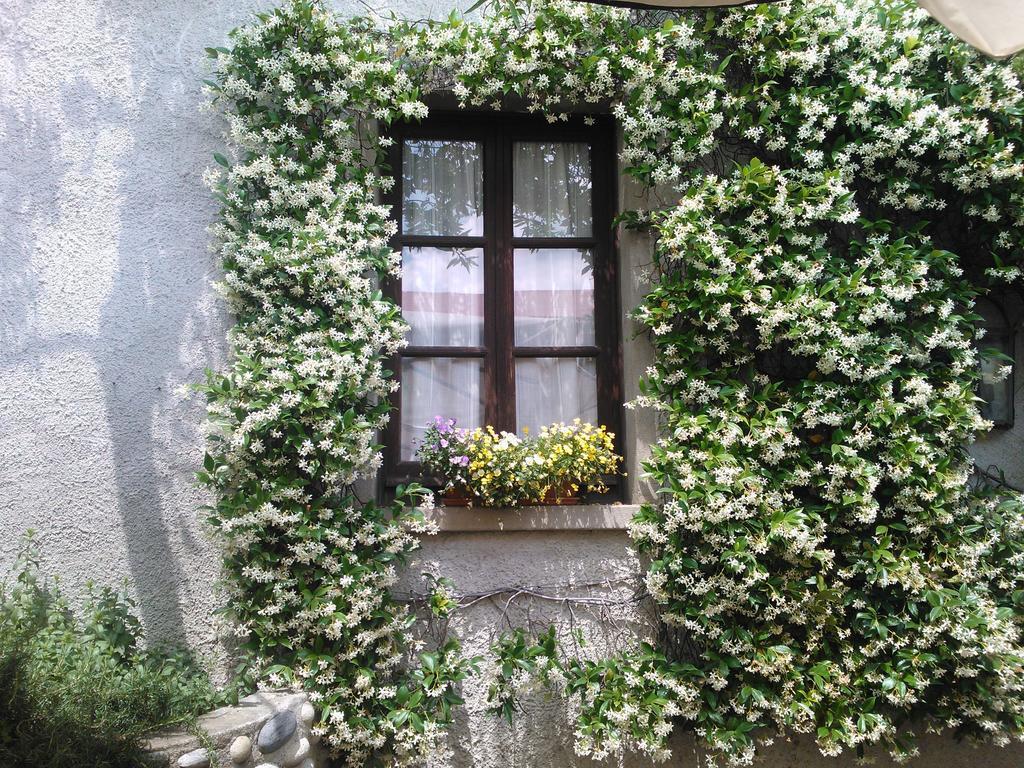 Agriturismo Cassinazza Orsenigo Δωμάτιο φωτογραφία