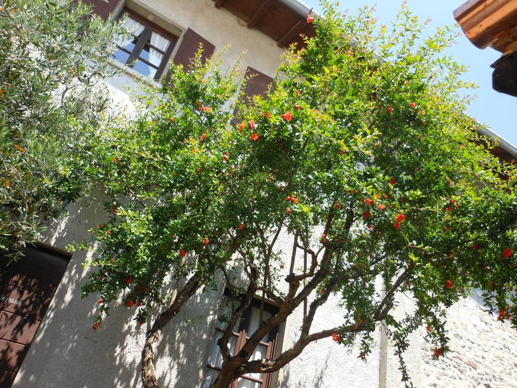 Agriturismo Cassinazza Orsenigo Εξωτερικό φωτογραφία
