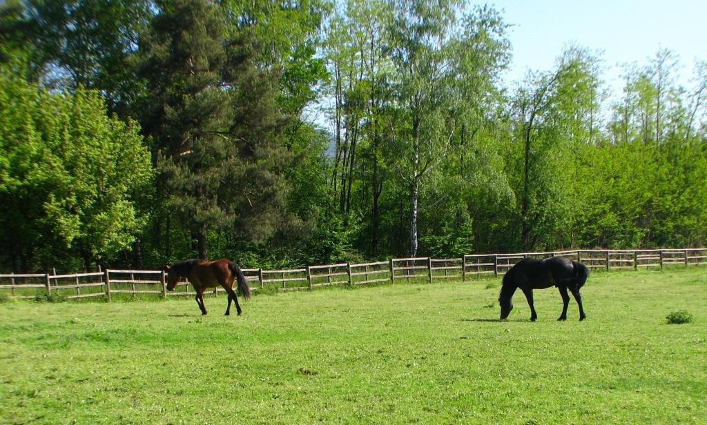 Agriturismo Cassinazza Orsenigo Εξωτερικό φωτογραφία